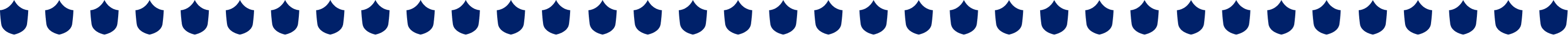 immagine scudo blu