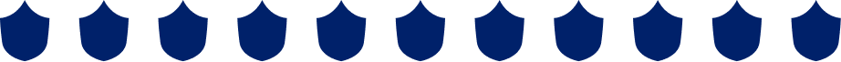immagine scudo blu